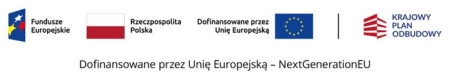 INFORMACJA - Dofinansowane przez Unię Europejską 